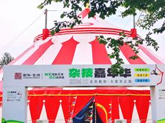 -大望京公园