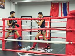 -TFC 纯泰拳馆MuayThai