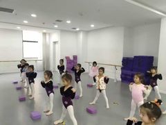 -西安小天鹅艺术团(金花路校区)