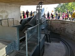 -胡里山炮台