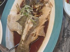 -峨嵋酒家(牡丹园店)