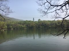 -紫霞湖公园