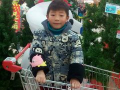 -祥源·阜阳生态乐园