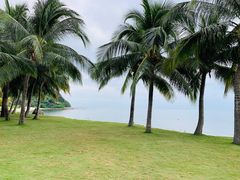 -日落吧·海景咖啡厅·餐酒吧·鸡尾酒·下午茶·乐队表演·浪漫夕阳·三亚文华东方酒店