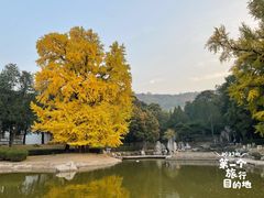 -香山公园
