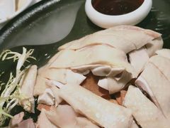 -老伙记海鲜码头(北滘店)