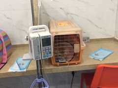 -伟伟宠物医院·CT影像中心·瑞派犬猫综合性门诊(汉口总院)