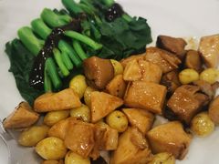 -大中鱼翅 Taitong Shark Fin