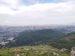 -长虫山生态公园风景林