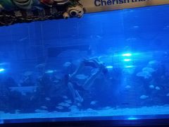 -成都浩海立方海洋公园