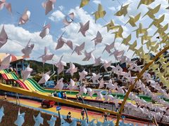 -青鱼湾水上乐园