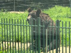-秦皇岛野生动物园