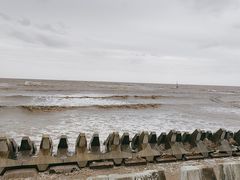 -南汇嘴观海公园