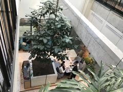 -大树餐厅(红旗街万达店)