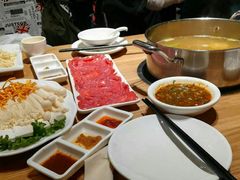 -掂档潮汕牛肉火锅(沈阳万象城店)