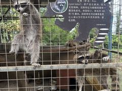 -中国汉城景区