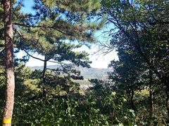 -北京西山国家森林公园