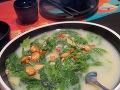 -羽鸽集·乳鸽专门店·地道顺德菜(岭南站店)