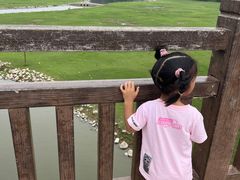 -北京麋鹿生态实验中心