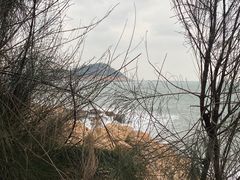 -东山风动石景区