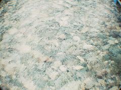 -虹口漂流