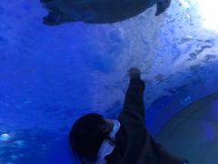 -泉城欧乐堡海洋极地世界