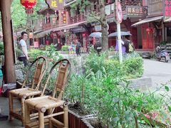 -龙翔山庄雷鸡肉(青城后山泰安古镇店)