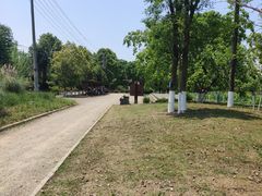 -白鹭湾湿地公园