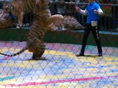 -西安秦岭野生动物园