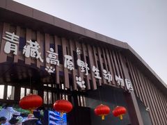 -青藏高原野生动物园
