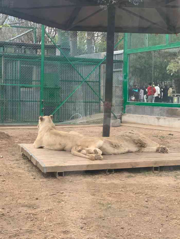 鄭州市動物園