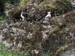 -东白山