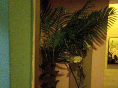 -怡泰SPA·泰疗按摩(徽宁路店)
