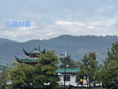 -猪脑壳凉面(武陵源店)