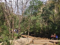 -大岭沟猕猴桃谷风景区