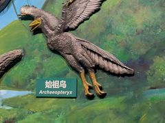 -辽宁古生物博物馆