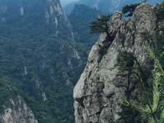 -老界岭旅游度假区