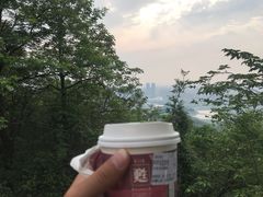 -茶颜悦色(岳麓山顶店)