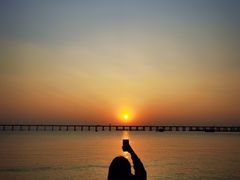 -宝安西湾红树林湿地公园