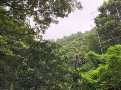 -雨花胜境