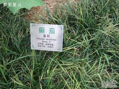 -广州神农草堂中医药博物馆