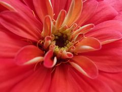 -长春公园(普阳街道)