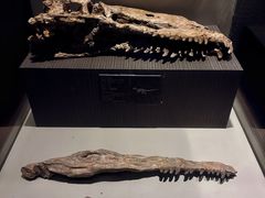 -世界恐龙谷景区