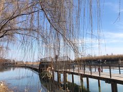 -苏州太湖湖滨国家湿地公园