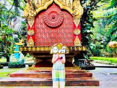 -瑞丽独树成林风景区