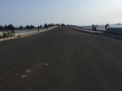 -东郊椰林