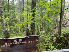 -峡谷浮石林景区