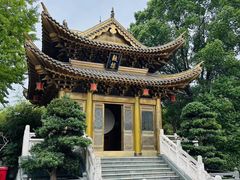 -上海东林寺(金山区)