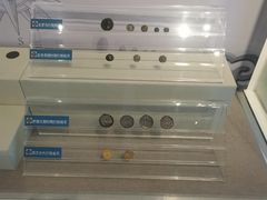 -沈阳金融博物馆