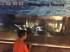 -中国地质大学逸夫博物馆